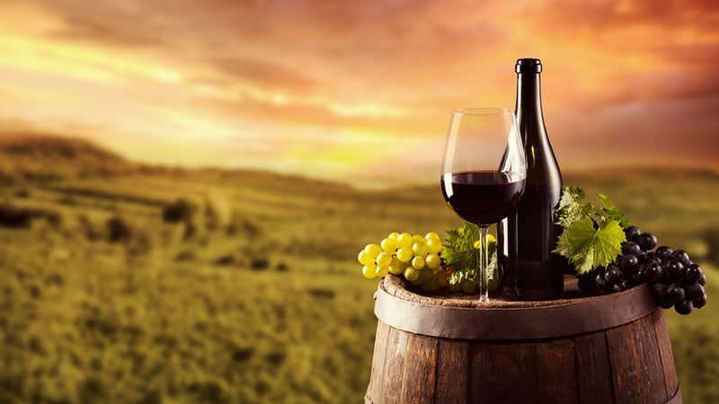 Discover the Business of Sustainable Wine with Sandra Taylor