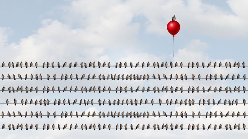 How to Stand Out from the Crowd